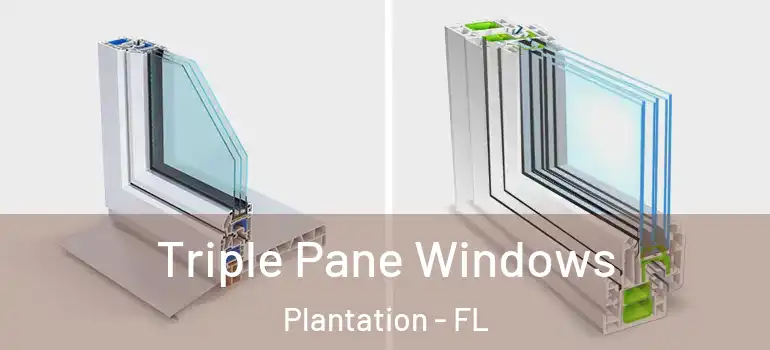  Triple Pane Windows Plantation - FL