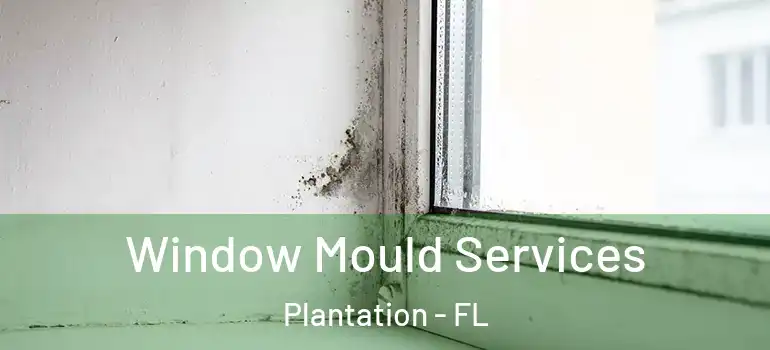  Window Mould Services Plantation - FL